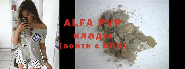 стафф Арсеньев