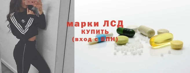 стафф Арсеньев