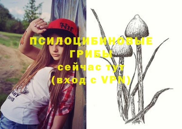 Альфа ПВП Аркадак