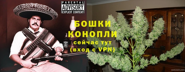 Альфа ПВП Аркадак