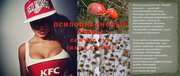 Альфа ПВП Аркадак