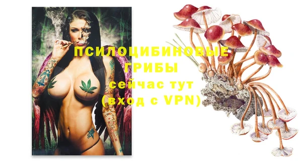 не бодяженный Медвежьегорск